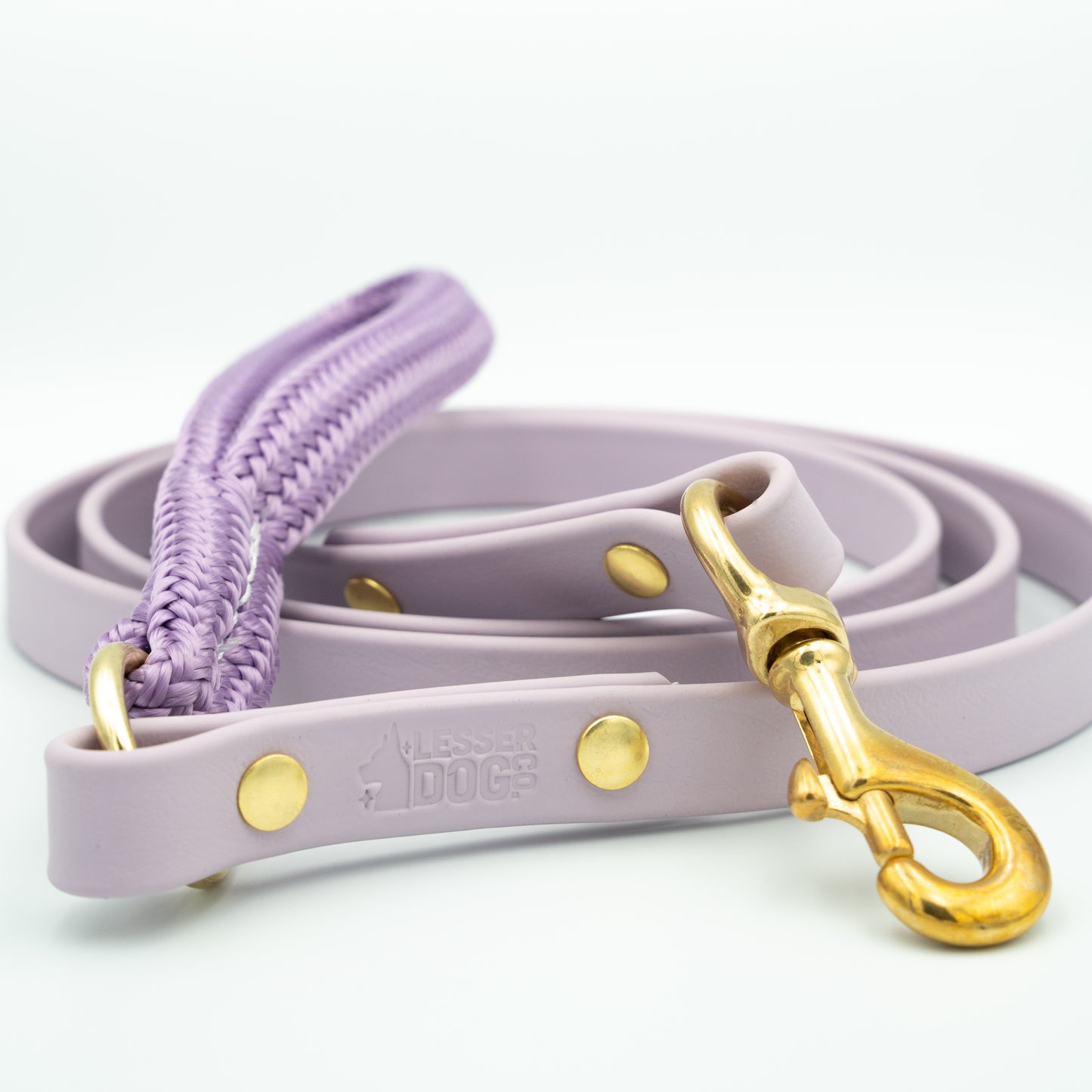 Purple dog leash with gold hardware on a white background Aurora