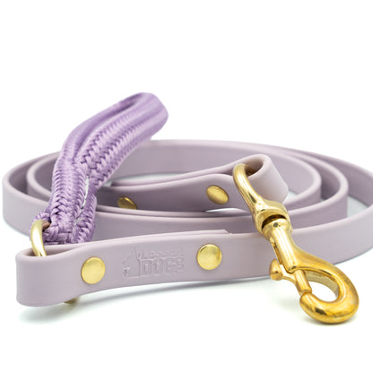 Purple dog leash with gold hardware on a white background Aurora