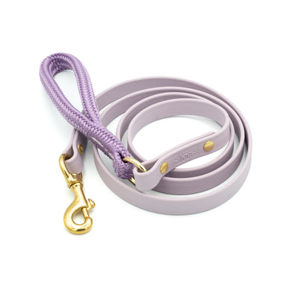 Purple dog leash with gold clasp on a white background Aurora