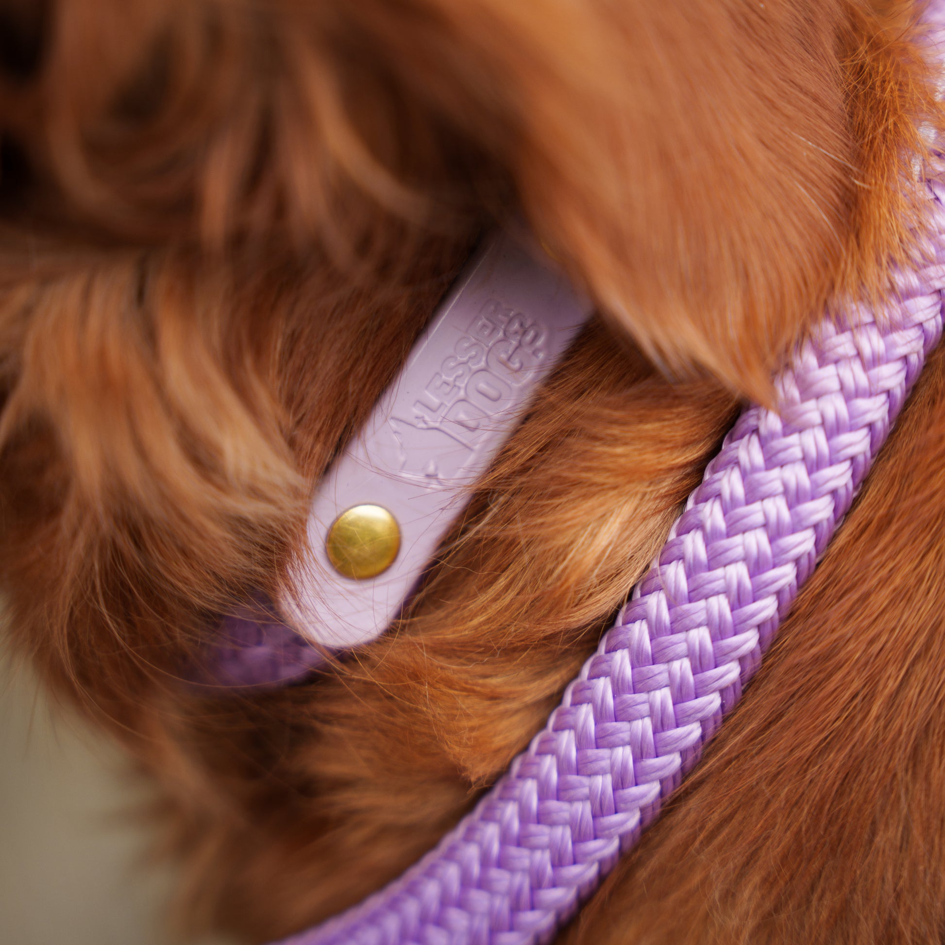Lilac biothane and rope dog collar with brass hardware Aurora Garnet Eclipse Glacier