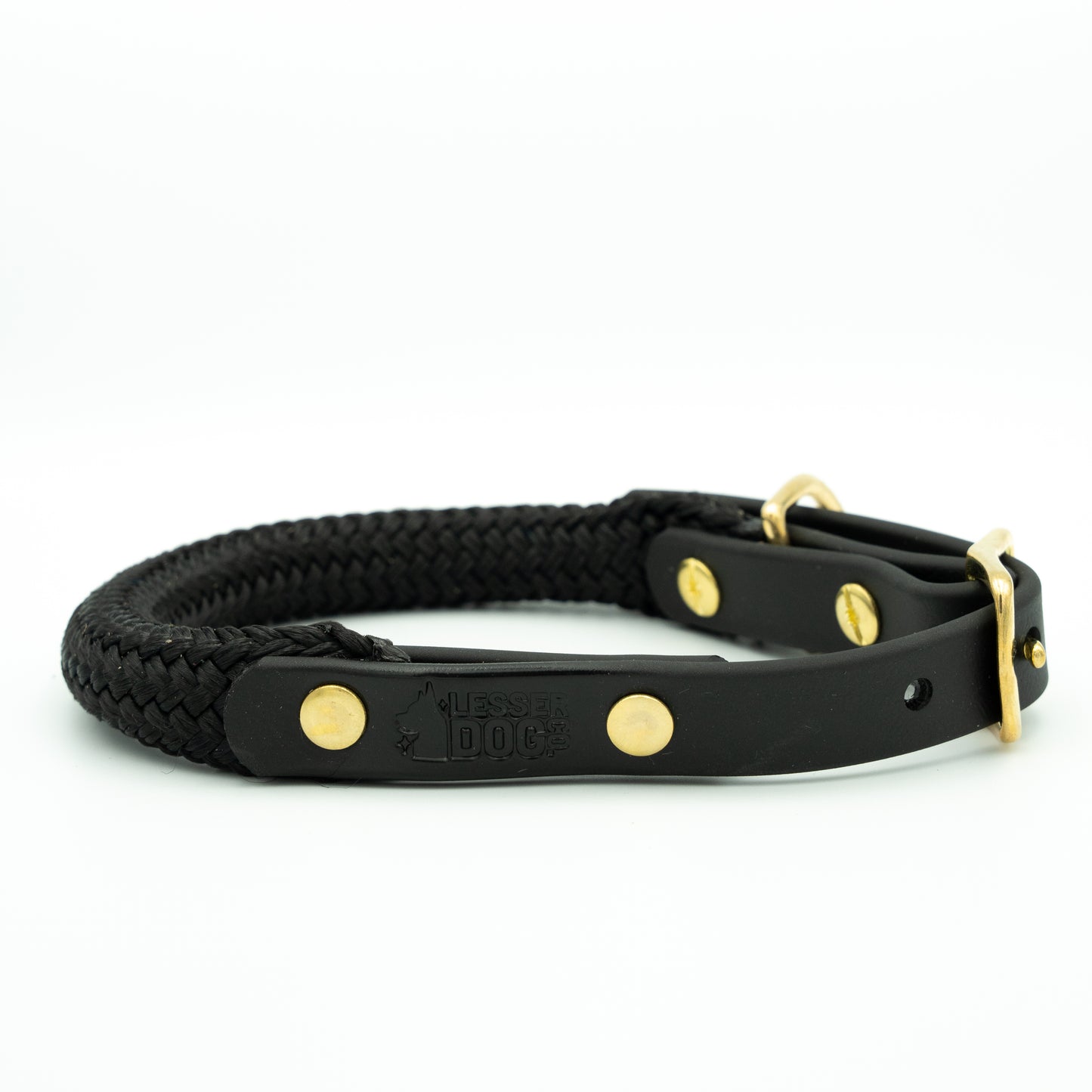Black braided dog collar with gold hardware on a white background Eclipse