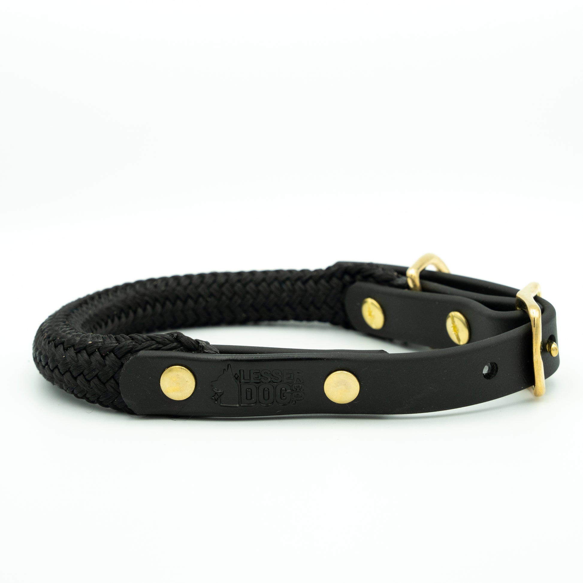 Black braided dog collar with gold hardware on a white background Eclipse