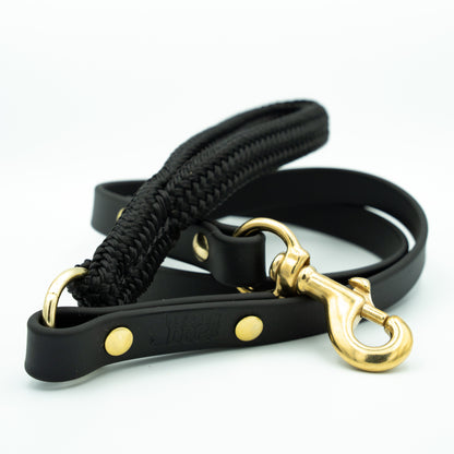 Black dog leash with gold hardware on a white background Eclipse