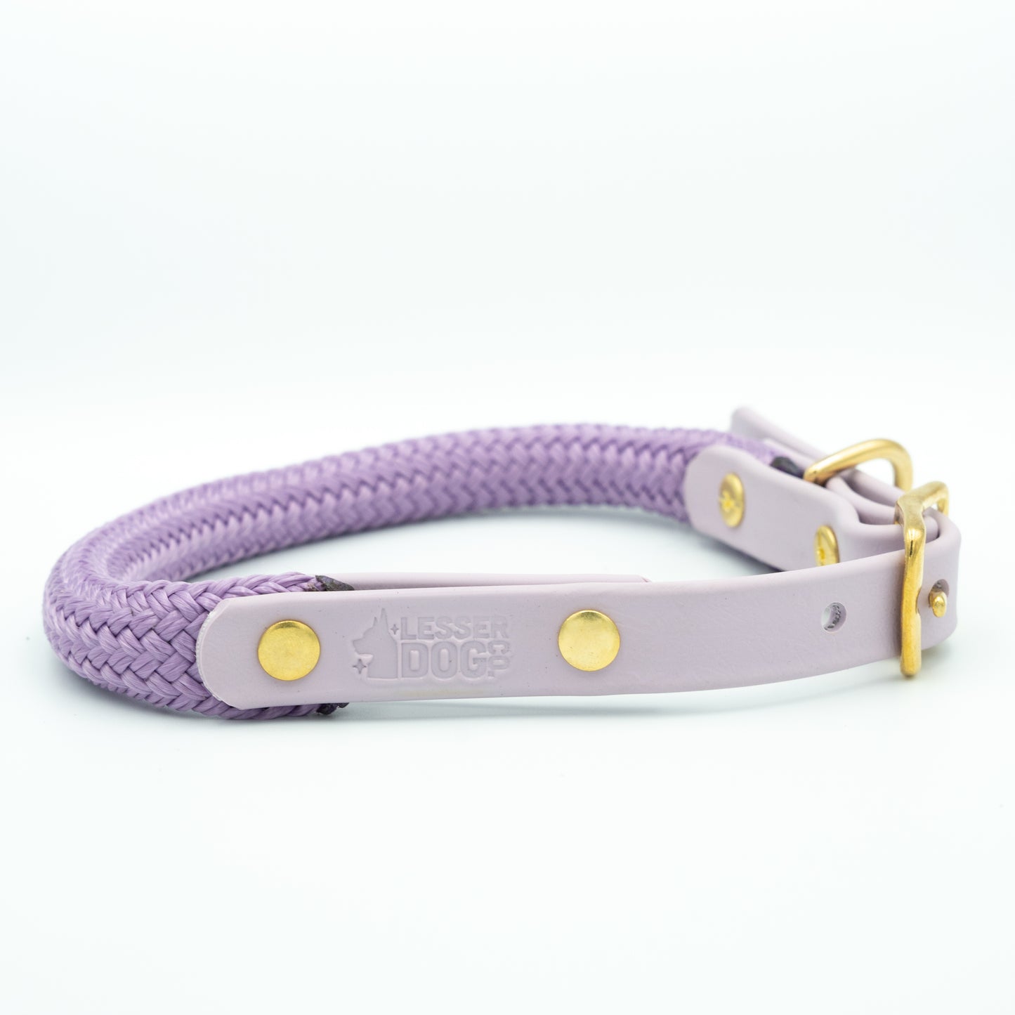 Purple dog collar with gold hardware on a white background Aurora