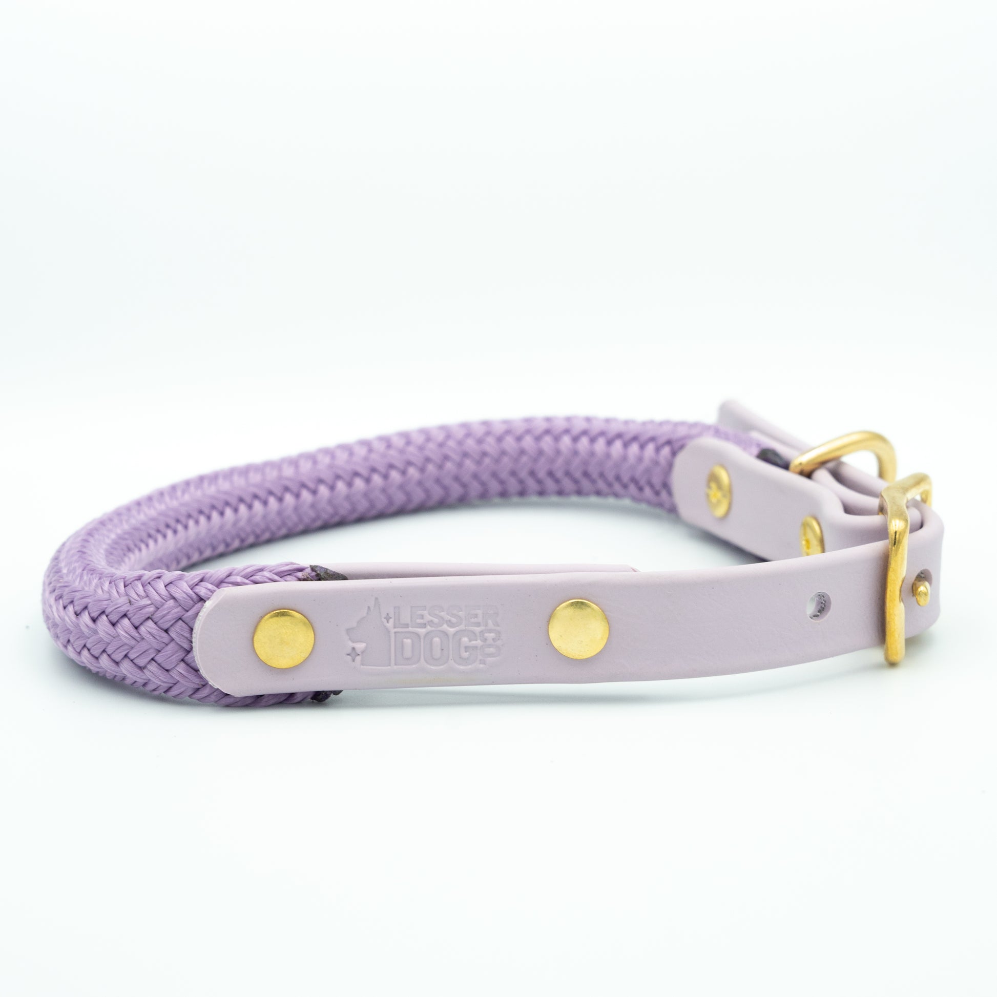 Purple dog collar with gold hardware on a white background Aurora