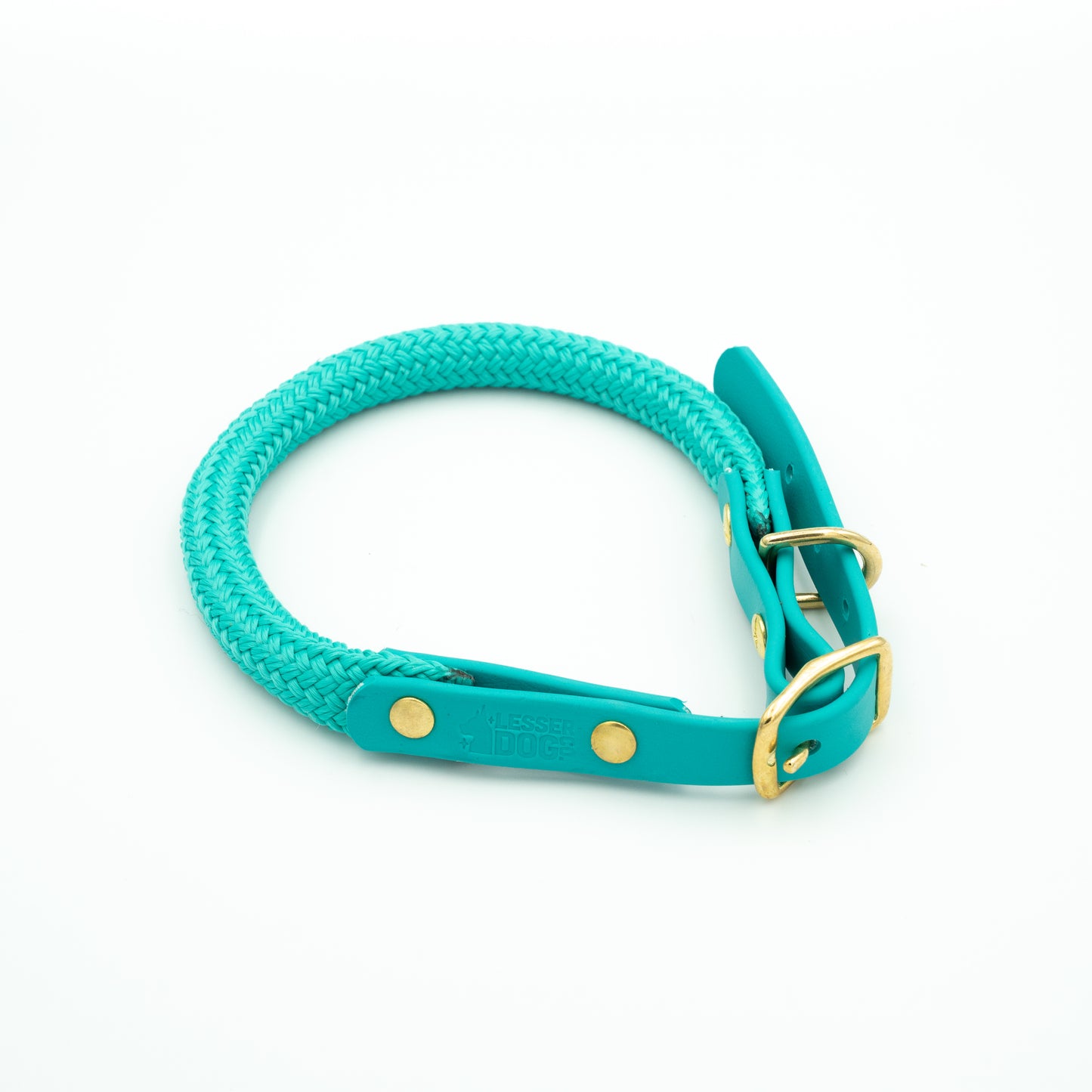 Teal dog collar with gold hardware on a white background Glacier