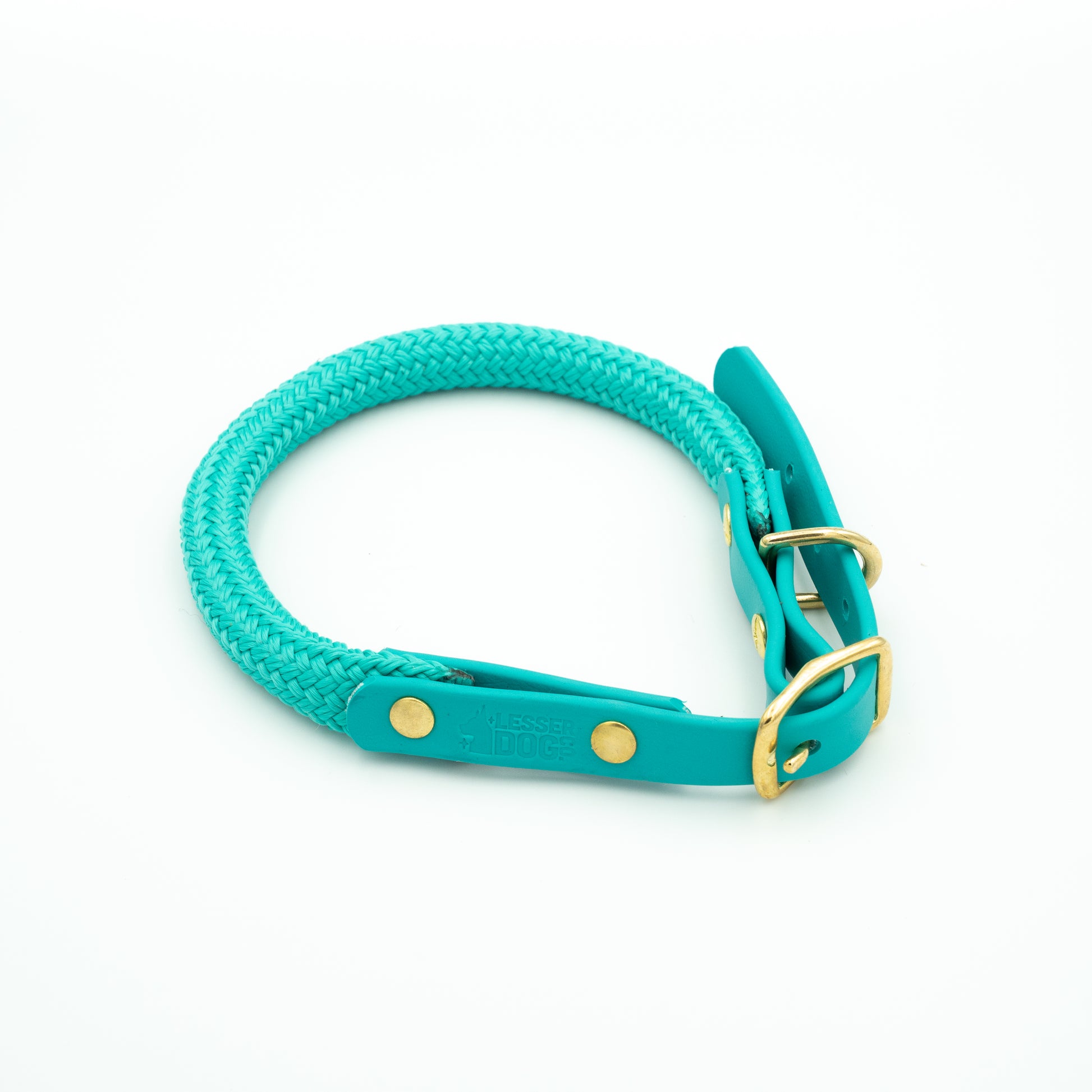 Teal dog collar with gold hardware on a white background Glacier
