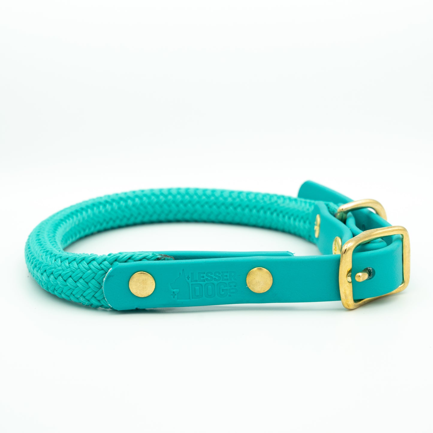 Teal dog collar with gold accents on a white background Glacier