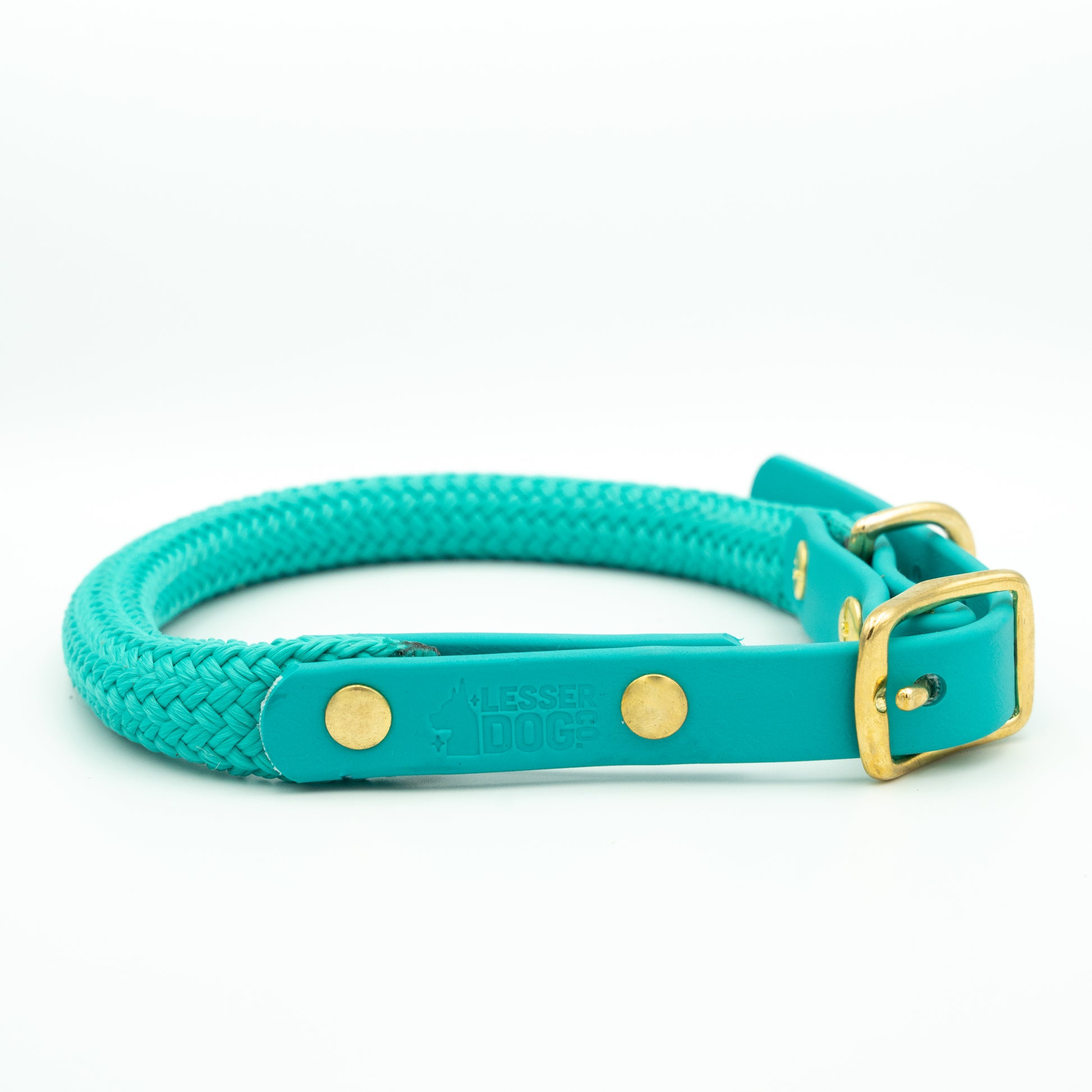 Teal dog collar with gold accents on a white background Glacier