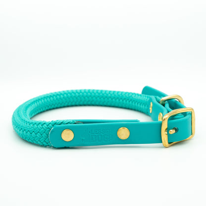 Teal dog collar with gold accents on a white background Glacier