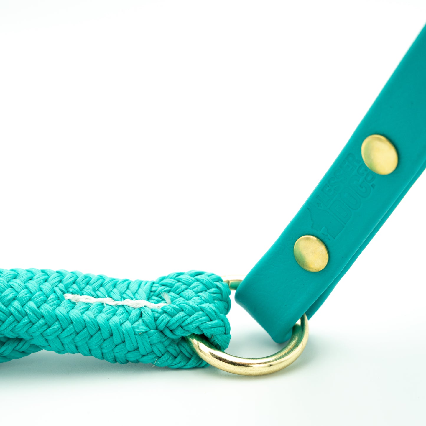 Teal dog leash with gold ring and buttons on a white background Glacier