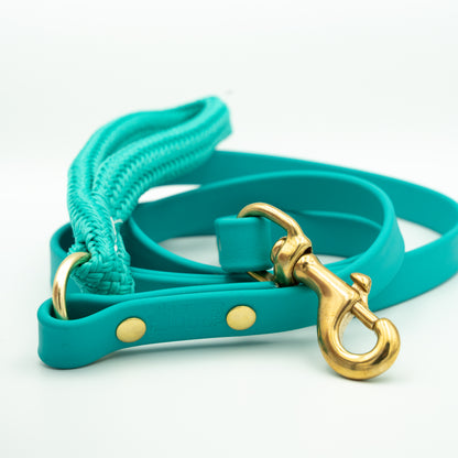 Teal dog leash with gold hardware on a white background Glacier