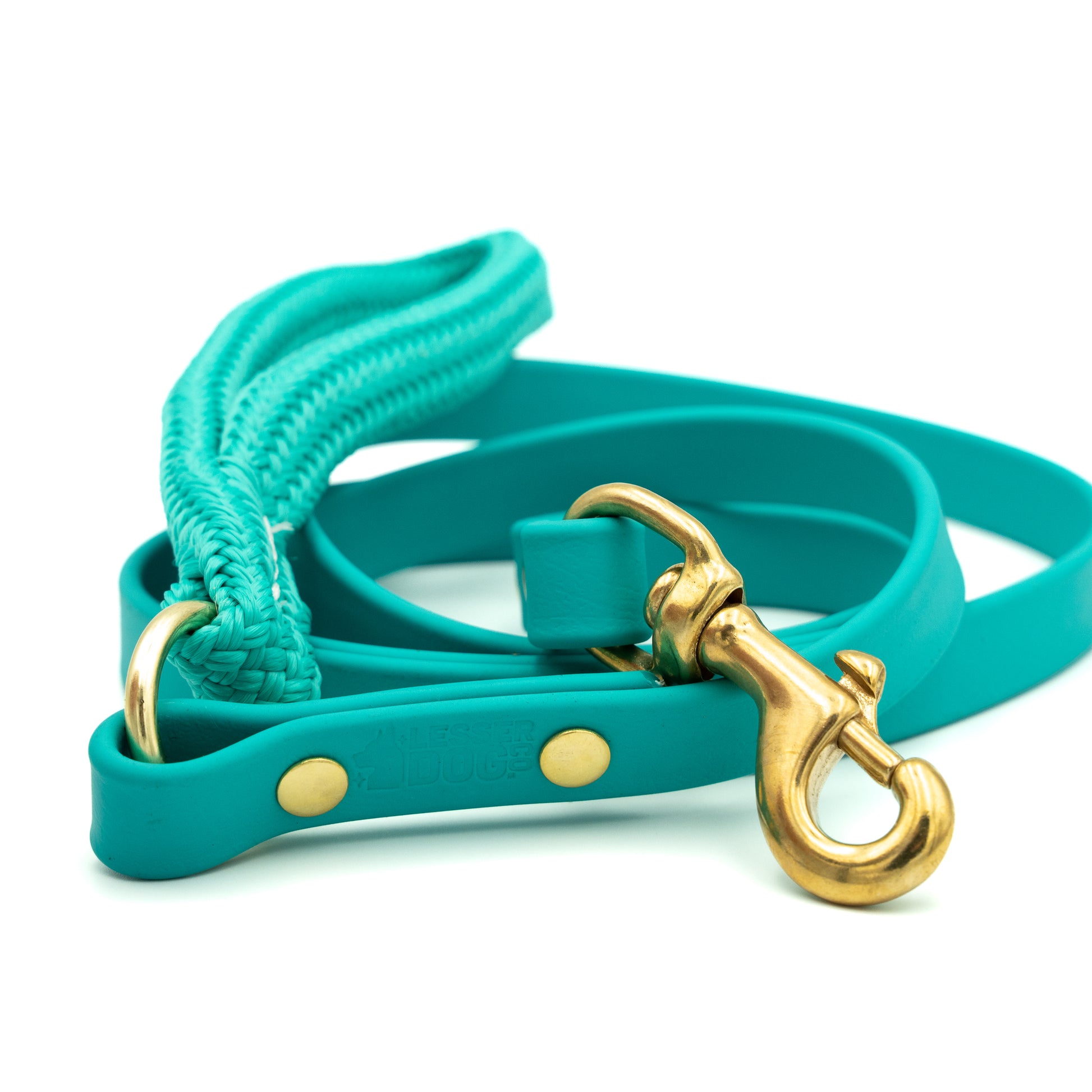 Teal dog leash with gold hardware on a white background Glacier
