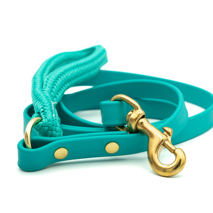 Teal dog leash with gold hardware on a white background Glacier